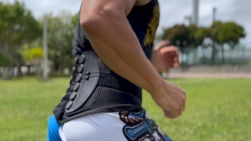 ガードナーベルト