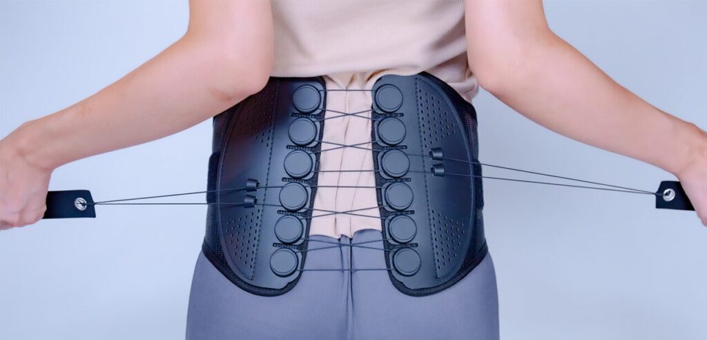 ガードナーベルト