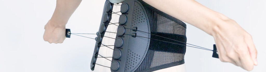 ガードナーベルト