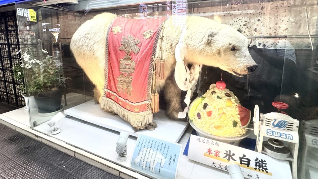 天文館むじゃきの白熊ディスプレイ