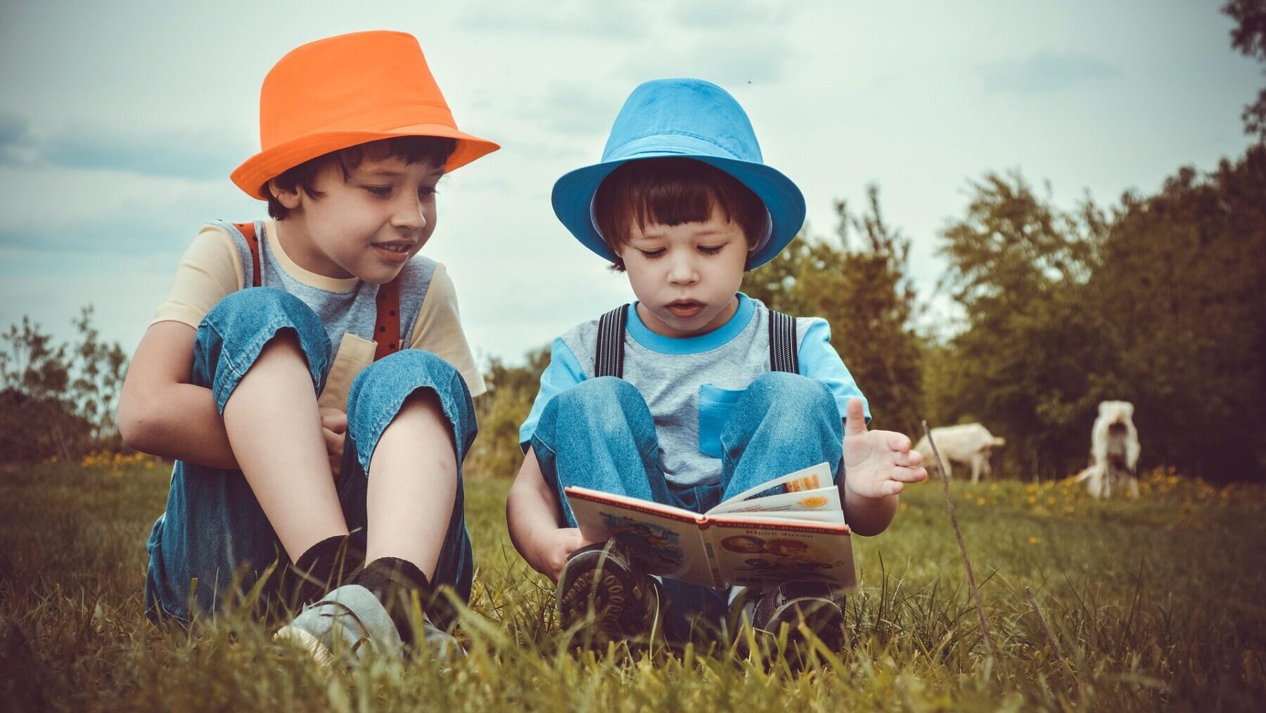 草原で本を読む2人の少年