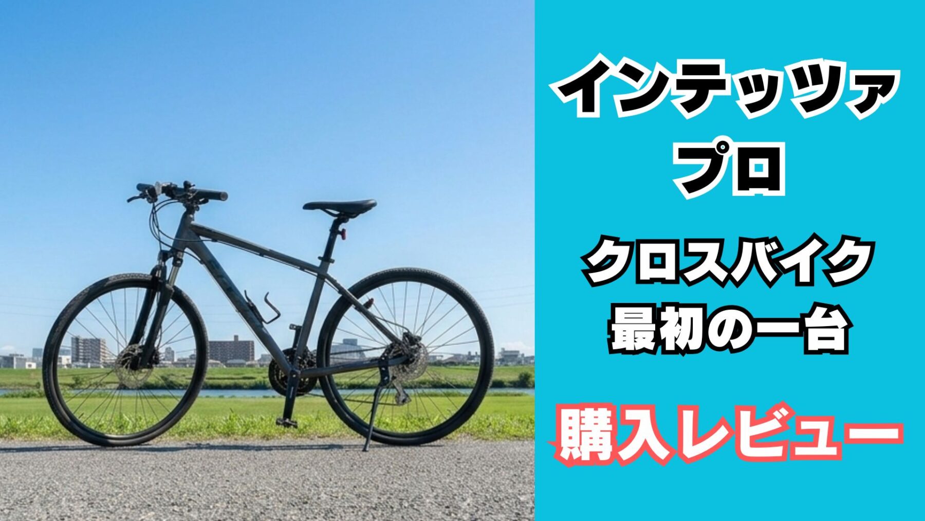 インテッツァプロ
