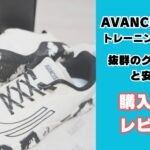 アヴァンサスV3.0