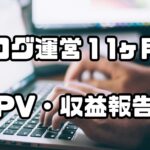 ブログ月次報告11ヶ月目