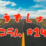 コラム