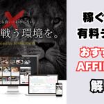 AFFINGER6
