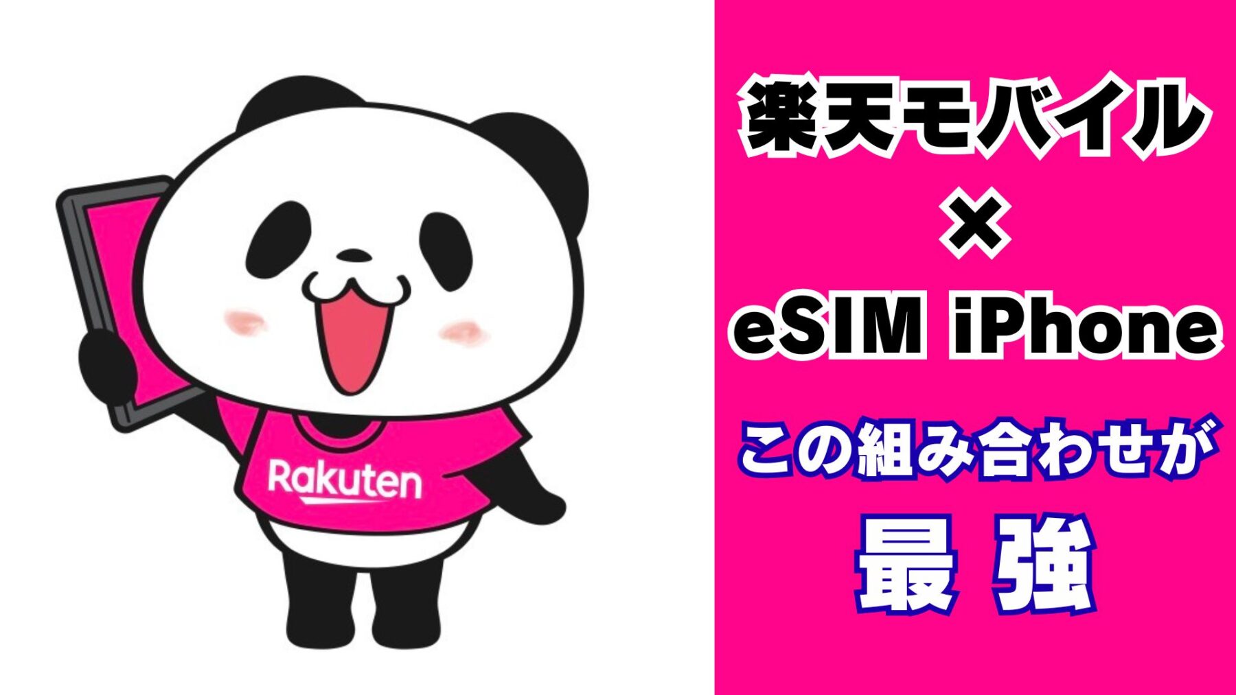 楽天モバイル eSIM