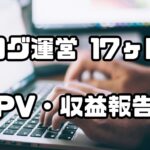 ブログ運営17ヶ月目
