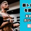 筋トレ効率を最大化させるガジェット