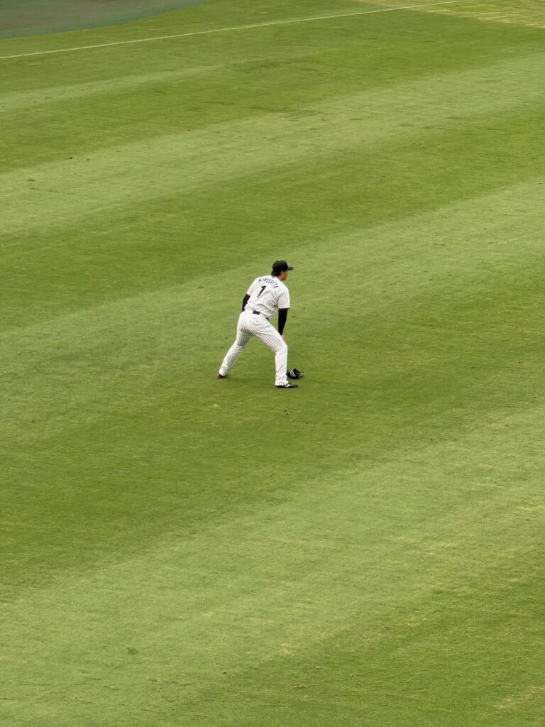 甲子園の外野席